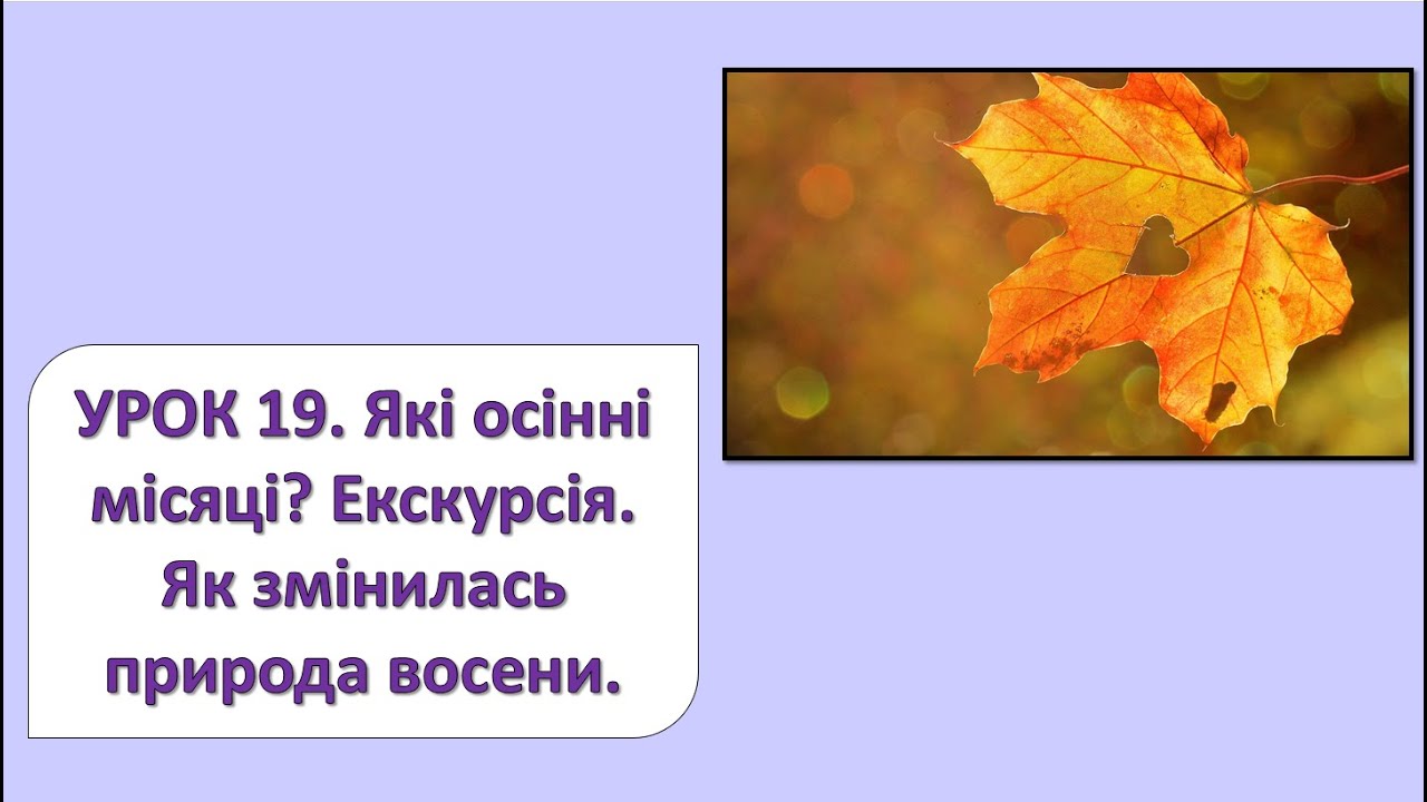 ЯДС 2 клас. Урок 19. Які осінні місяці? Екскурсія: Як змінилась природа восени?