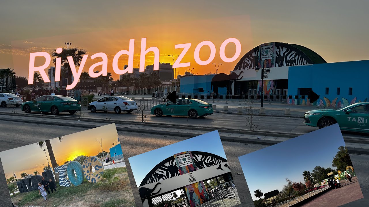 Zoo riyadh vlog part 1🐘🦁Riyadh Zoo Experience More Animals, 🦜🐒Incredible Animal Encounters 🐆🦒