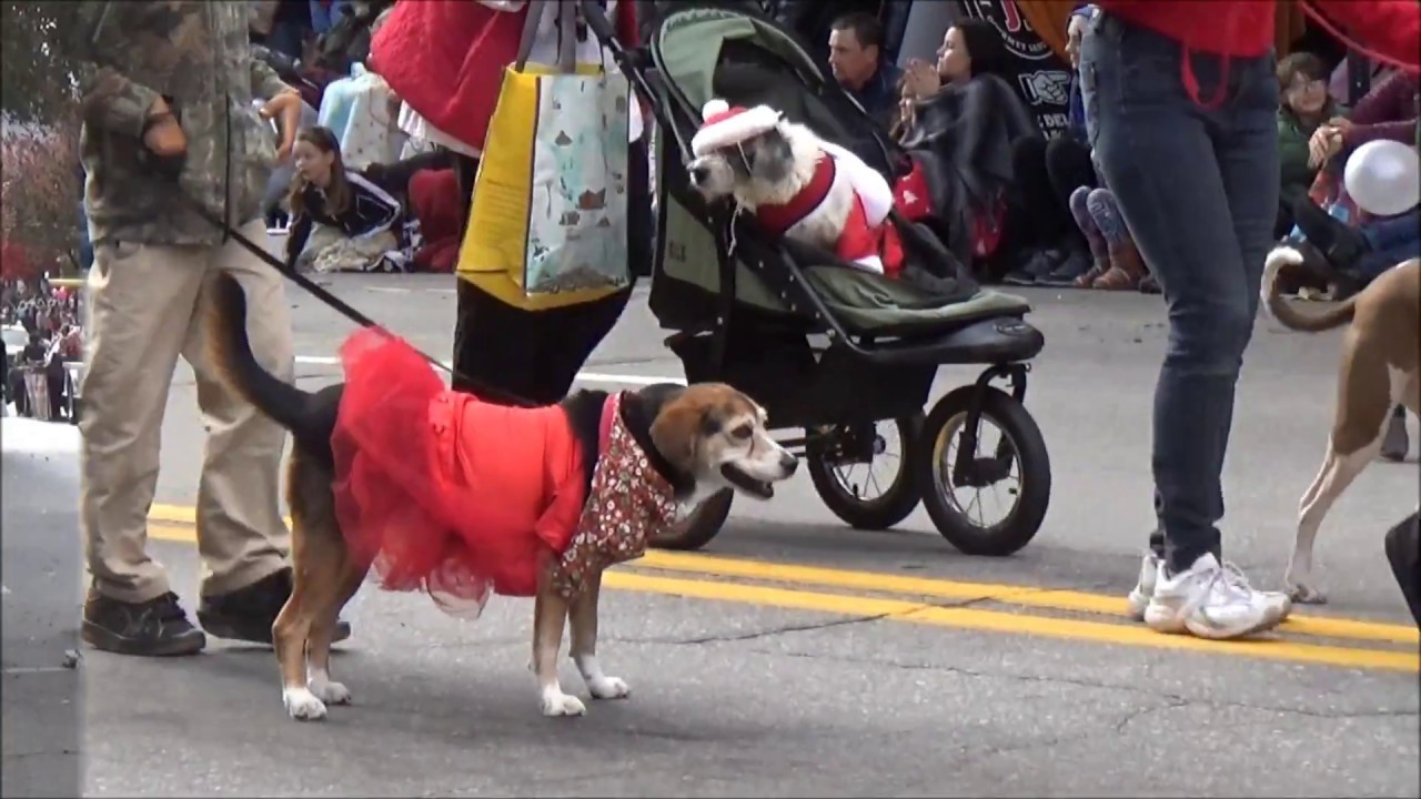 Asheville Holiday Parade