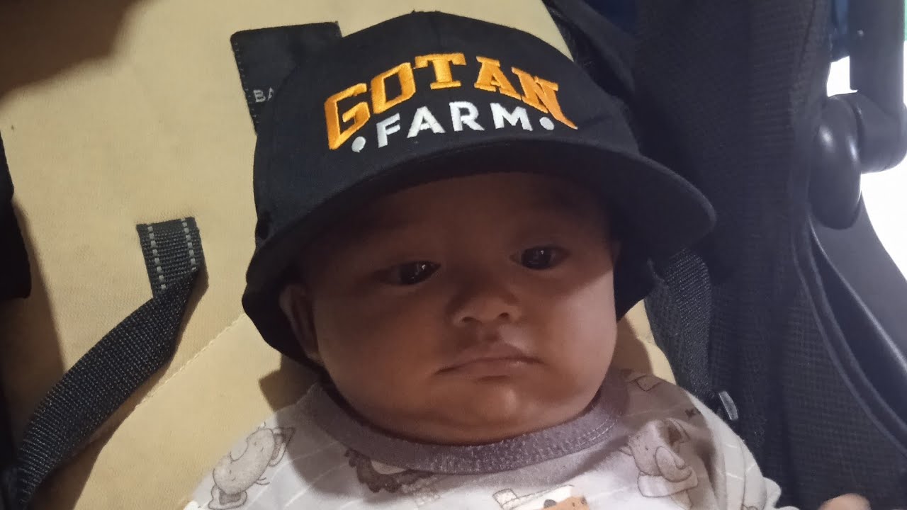 Keseharian bang Vino de vian bayi kembar
