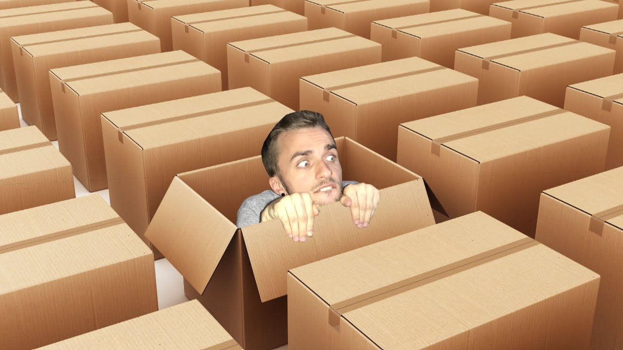 QUI SE CACHE DANS UNE BOÎTE ? (What The Box)