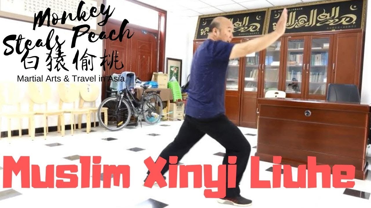 Kung Fu of the Chinese Muslims: Xinyi Liuhe Quan - Exploring Xingyi Quan ep10
