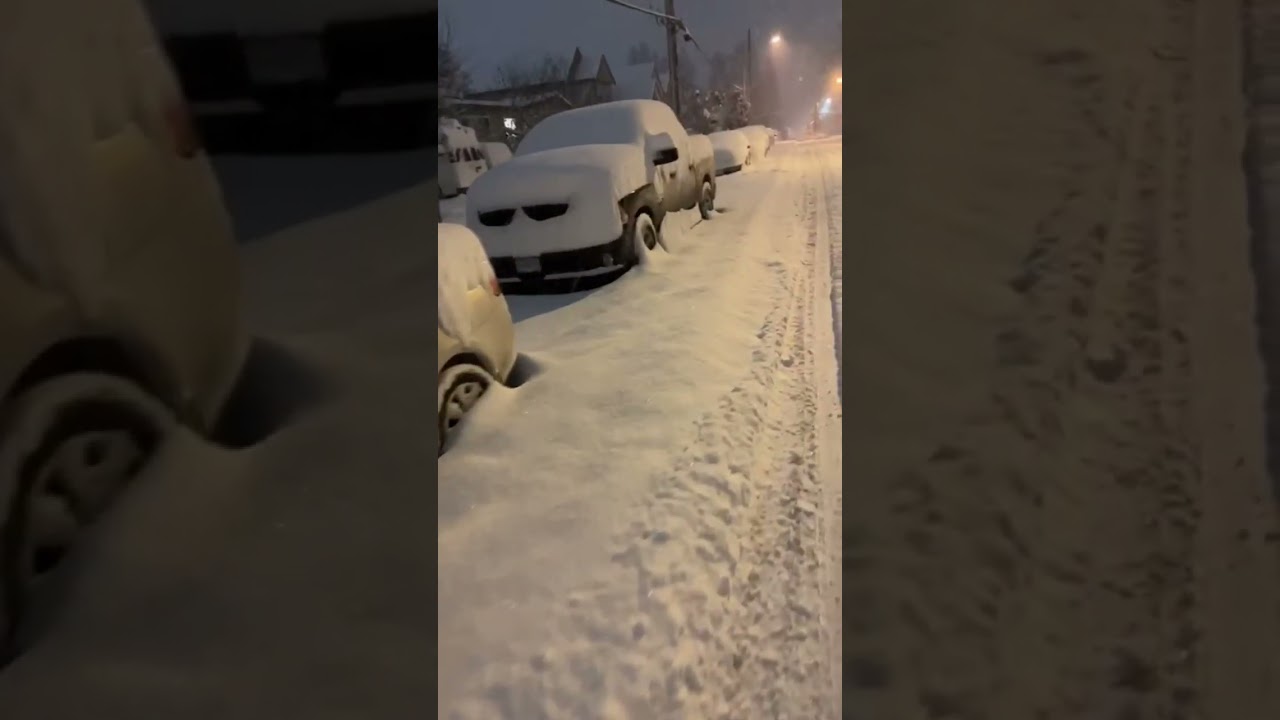 Surrey || Canada || Snowfall || Be Safe