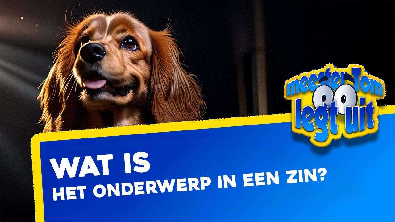 Wat is het onderwerp in een zin?