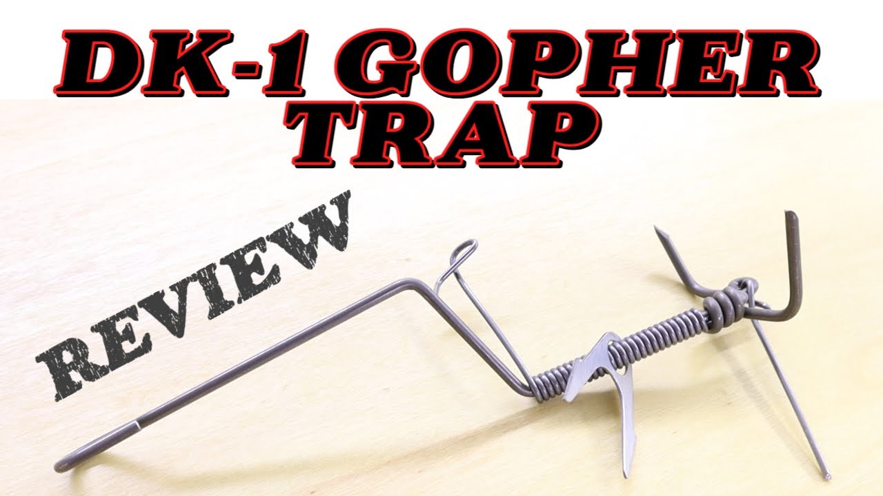 DK-1 Gopher Trap Overview, Recommendations and Drawbacks