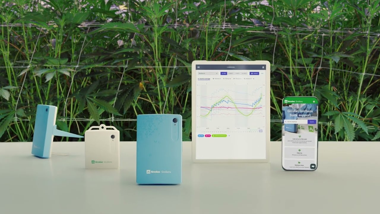 GroSens Suite Overview: Near Real-Time Root Zone Monitoring with Grodan