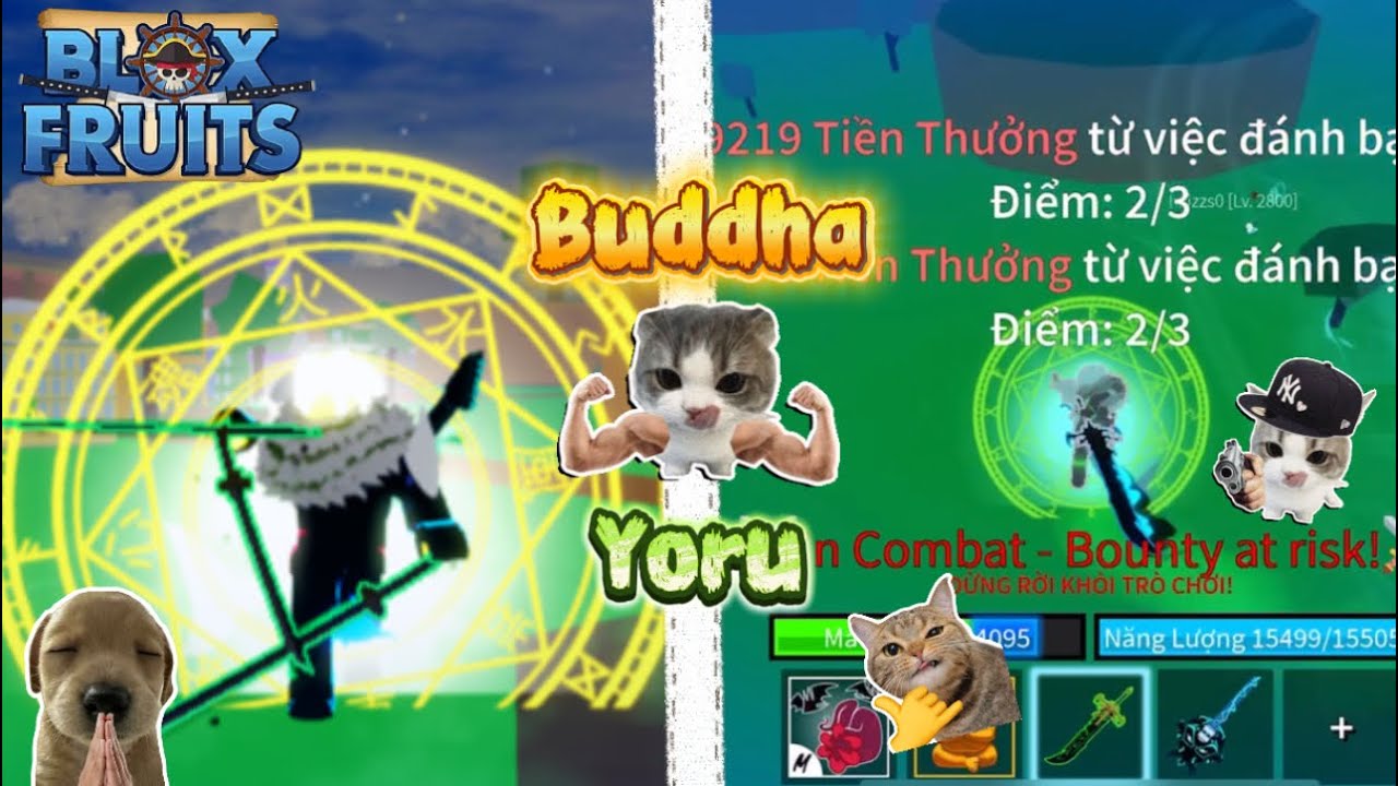 [ BLOX FRUITS ] PVP bằng combo ( Buddha and yoru ). Comback lại blox fruits 😂😂
