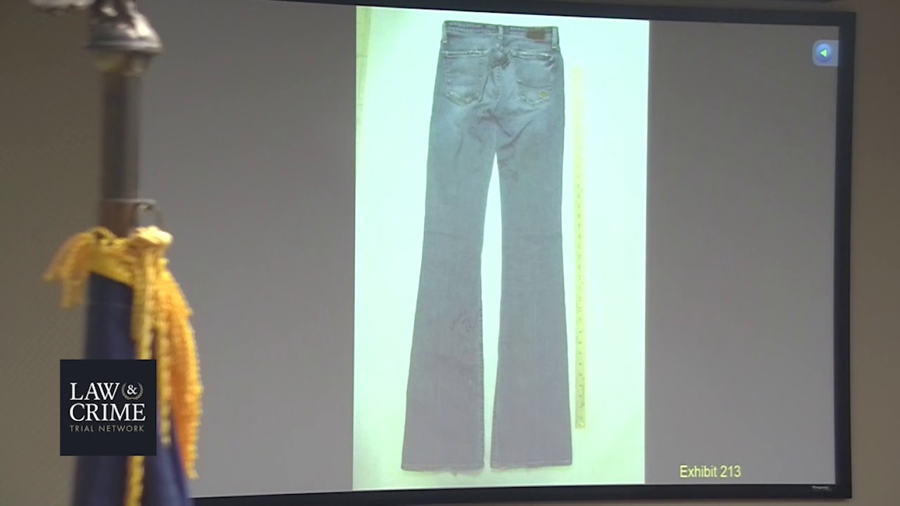 Eric Boyd Trial Day 4 Witness: ME Dr.  Darinka Mileusnic-Polchan