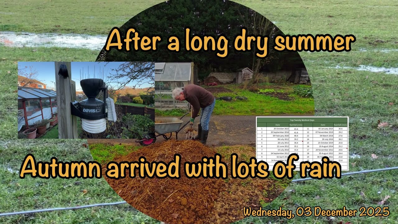 2025-12-03-after a long dry summer, autumn arrived with lots of rain