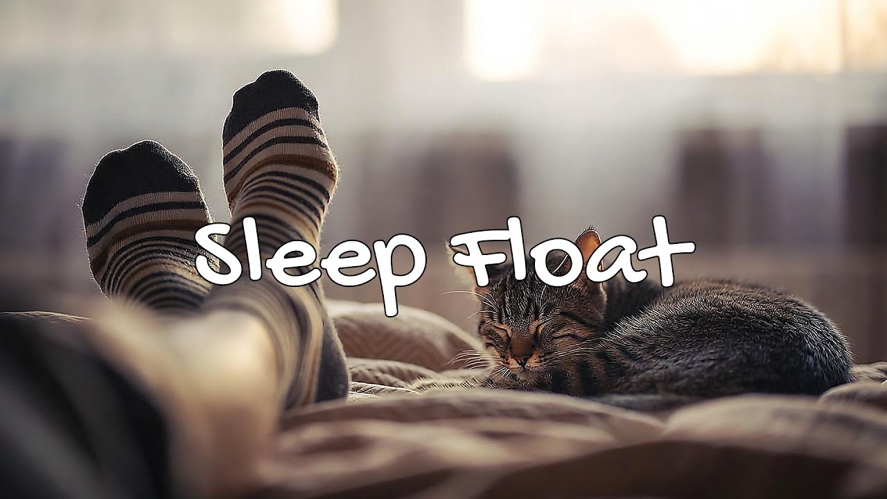 LIVE Cute Sleeping Kitten Wrapped in Blanket 🧶 | Season 2 | Non-Stop Chill 🍃