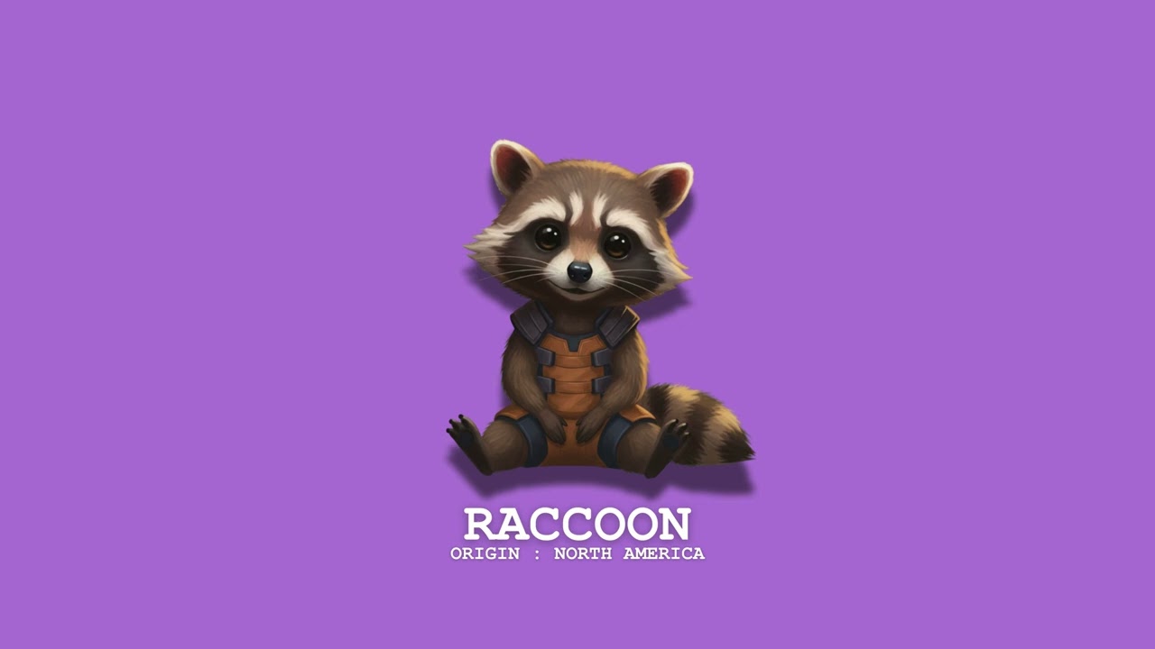 Raccoon - Origin : North America | Positive Vibes Only: Easy Listening Music for a Productive Day