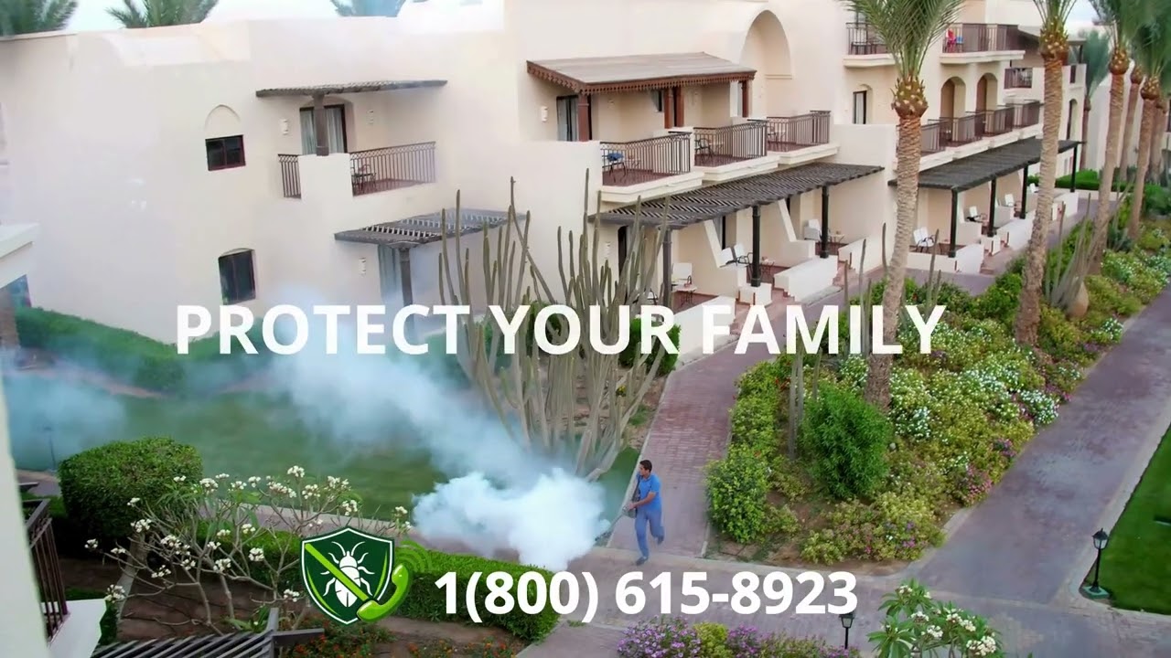 Top 3 Pest Control in California