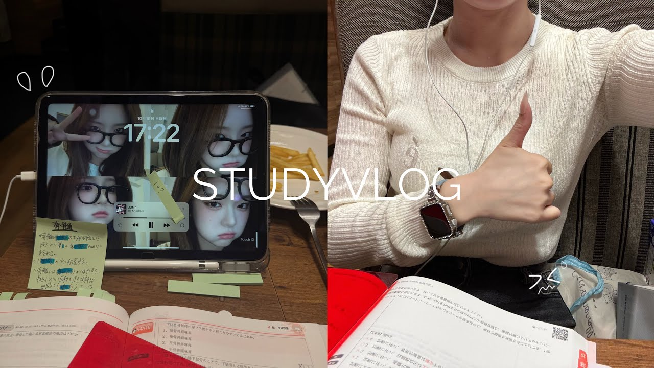 VLOG:模試の点数上がらなすぎて焦る私のvlog