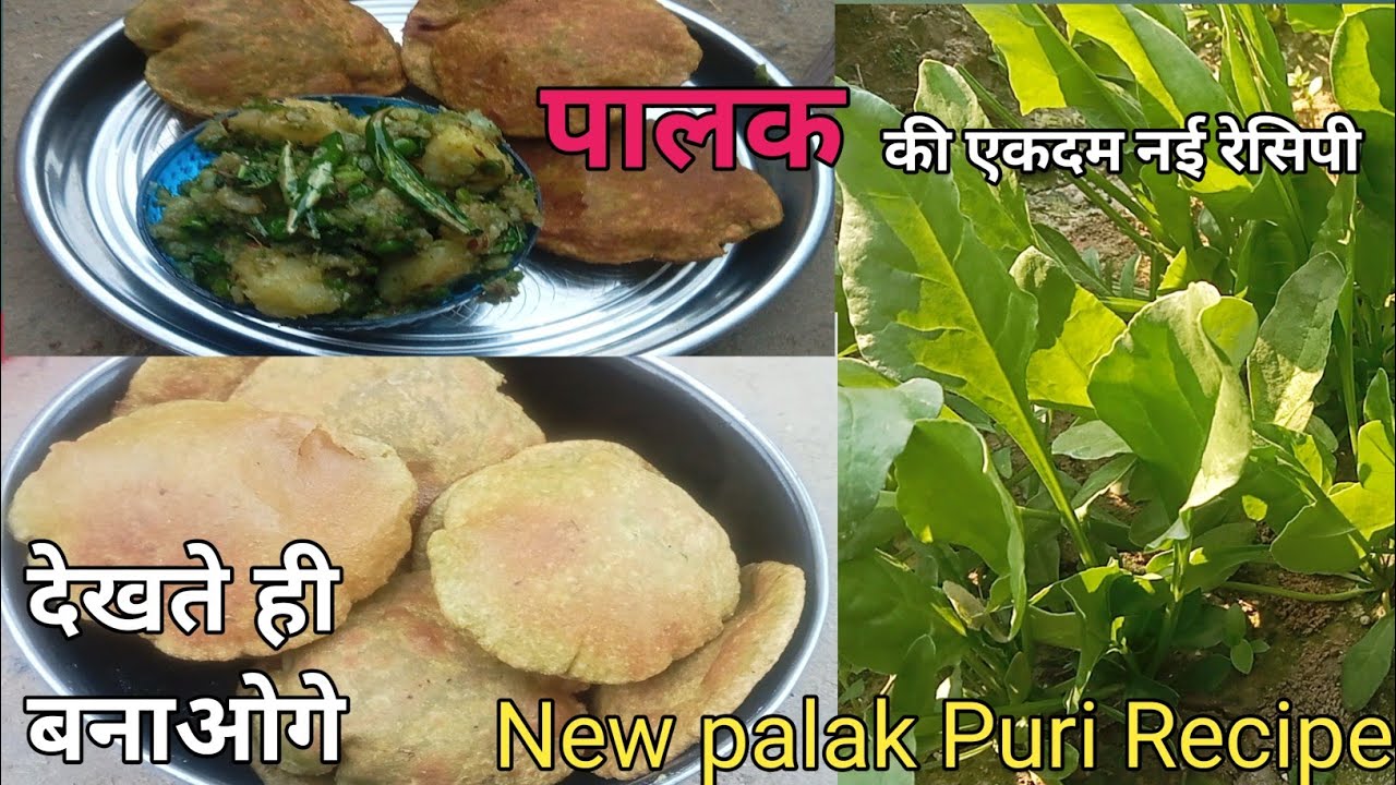 एकबार ऐसी पालक पूरी कि ये टेस्टी रेसिपी बनालोगे ,  तो गारंटी है आलू मटर की पूरी खाना भूल जाओगे ll