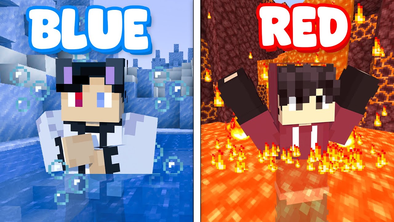 Surviving on ONE COLOR in Minecraft