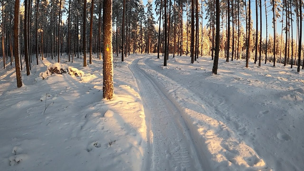 Talvipolut