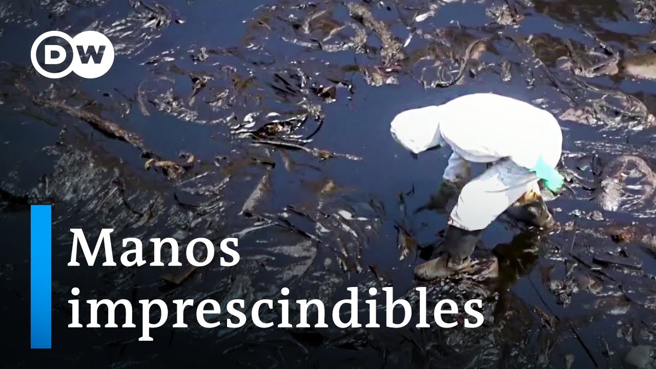 Cada vez más voluntarios ayudan a limpiar la Bahía de Callao