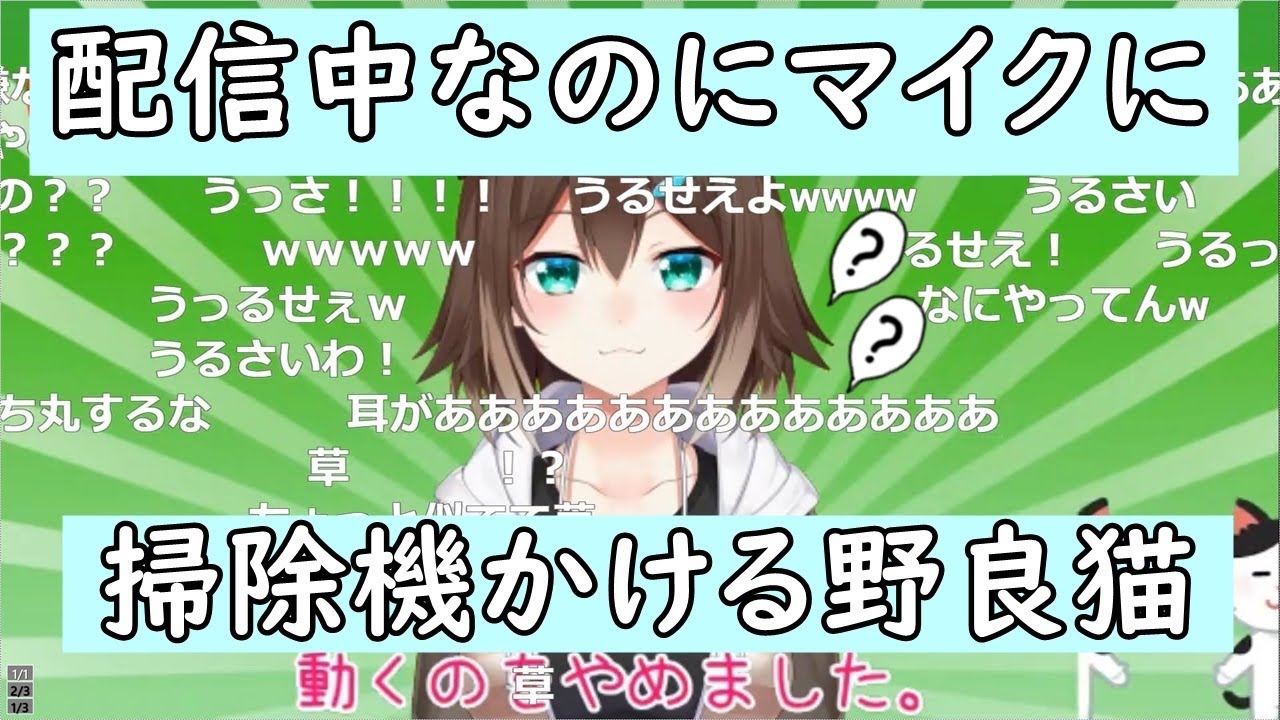 マイクについたゲボを綺麗にする野良猫【文野環/にじさんじ/切り抜き/ふみのたまき】