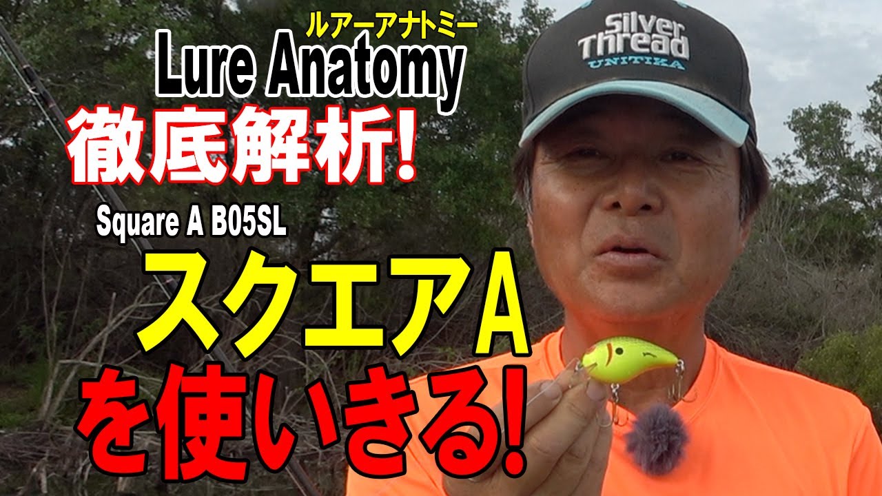 【ヒロ内藤流バス釣り】カバークランク　スクエアAを使い切る【ボーマー社クランクベイト】