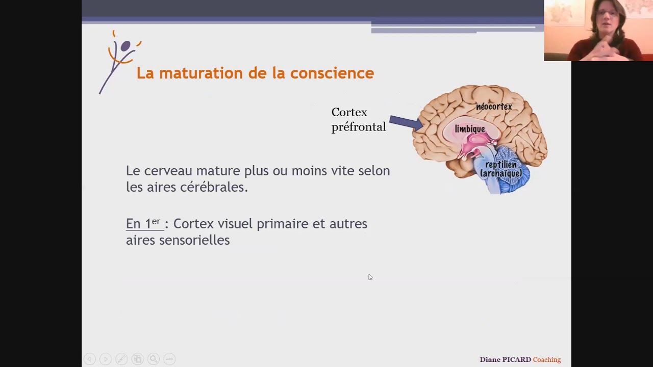 Les potentiels cachés du cerveau - 7 : cortex préfrontal et pleine conscience