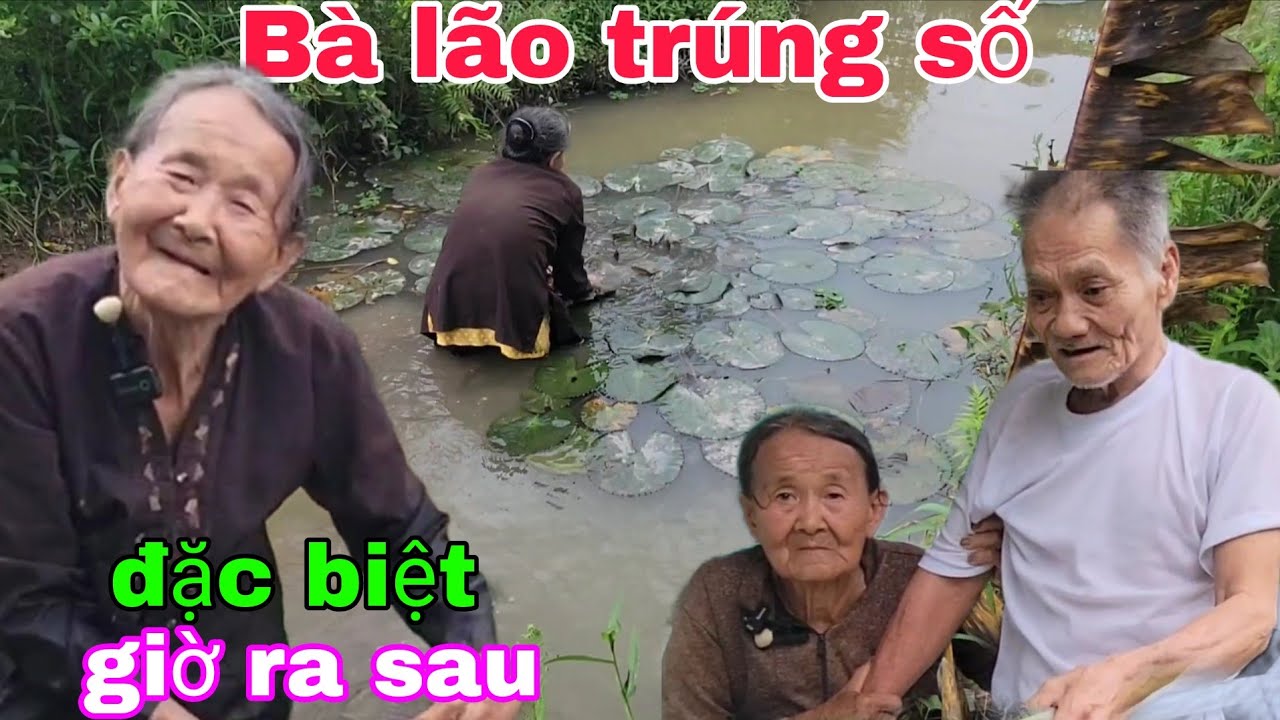 Bà lão 82t từng trúng số độc đắt giờ bán rau nuôi chồng nằm 1 chỗ vì đâu nên nỗi??
