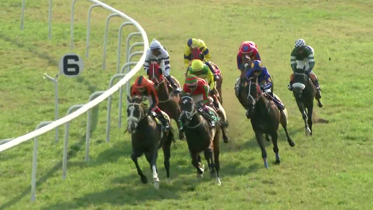 STAR GLORY : THE MADRAS RACE CLUB TROPHY (170)
