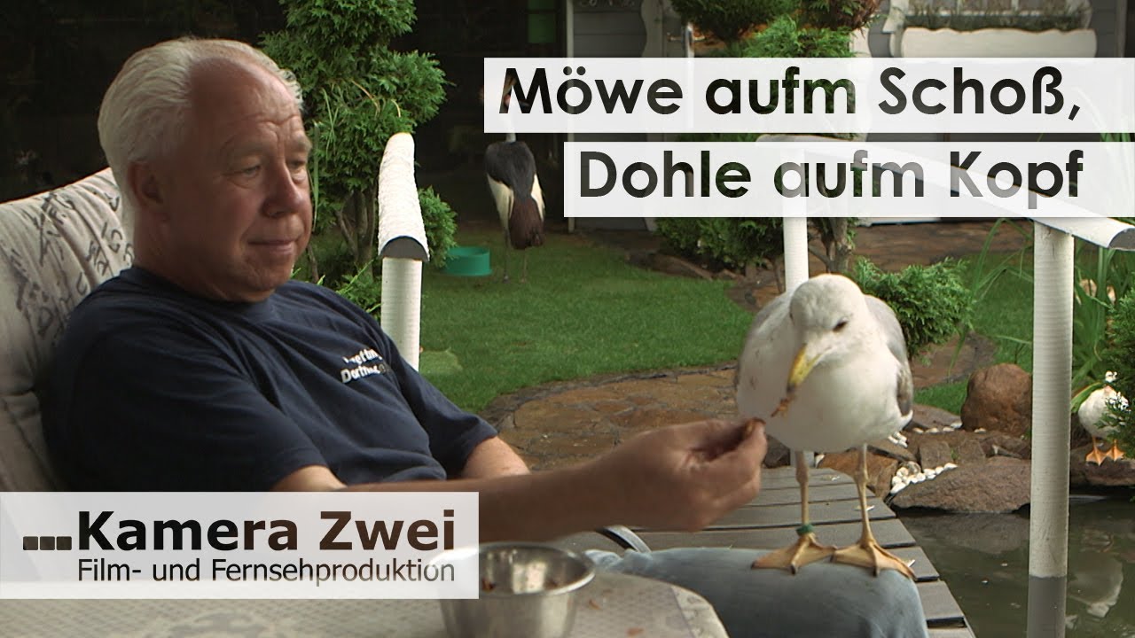 Ewald hat über 250 Vögel im Garten - Patienten wollen Vogel-WG nicht mehr verlassen | Kamera Zwei