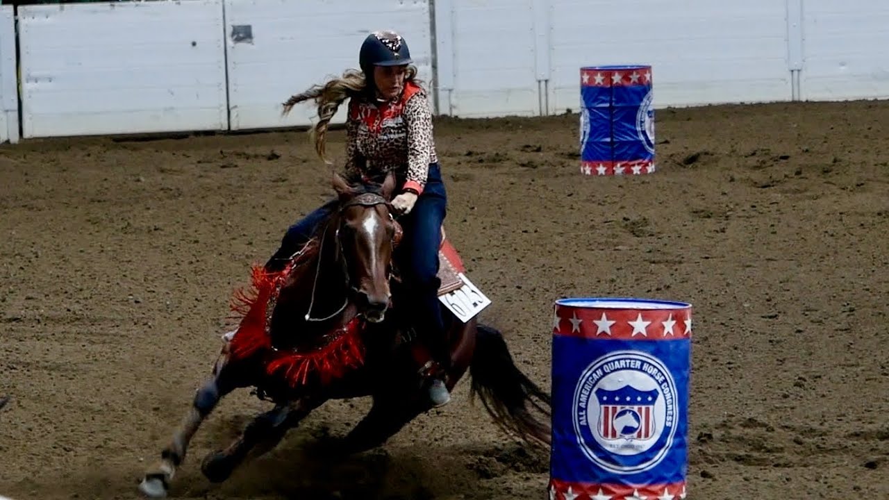 $$ AT FLORIDA RODEOS + QH CONGRESS & HP STALLION SHOWCASE!
