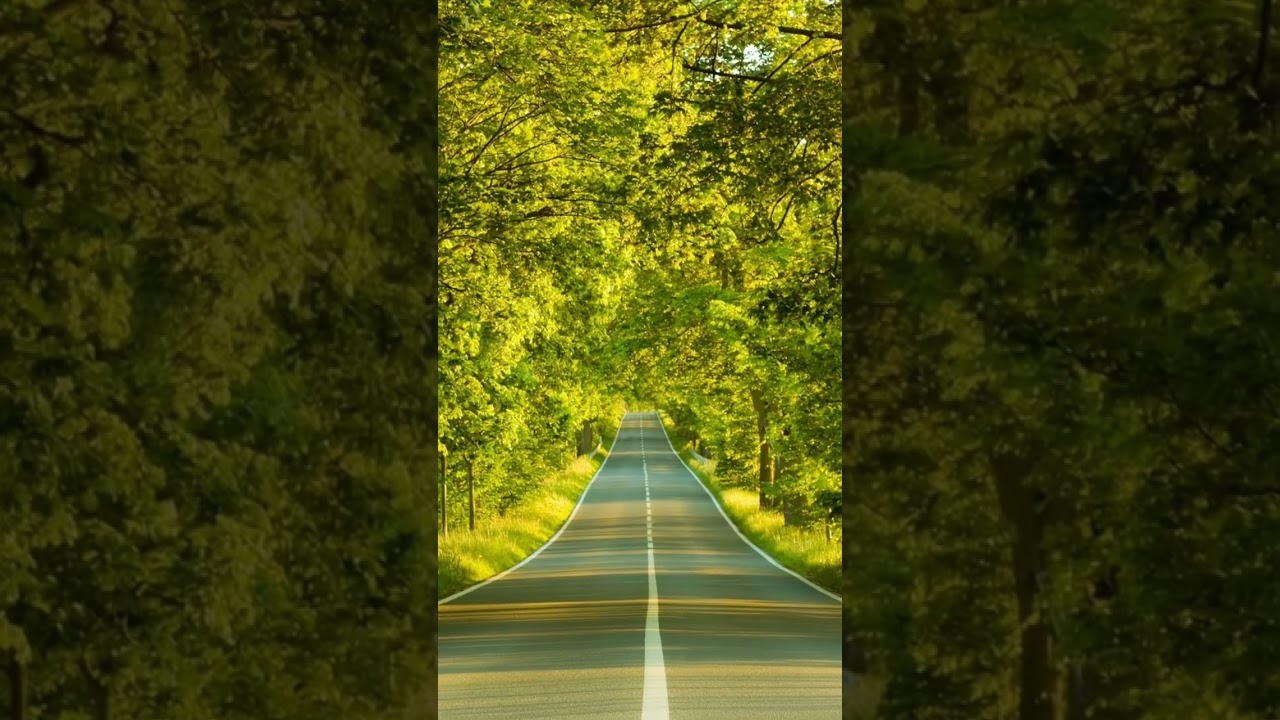 Relaxing music to slow down and breathe
