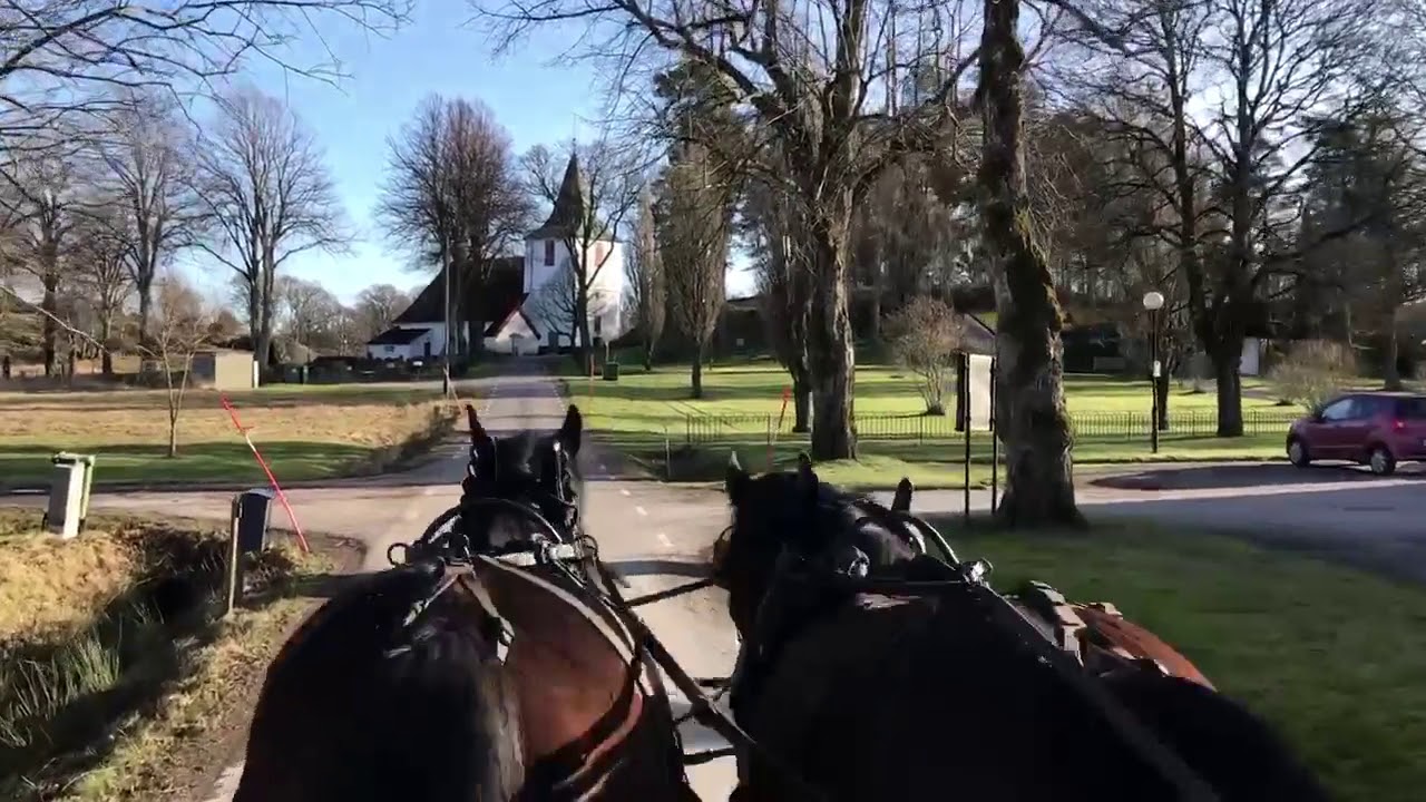 Hästkurs - parkörning | Inger Tegemyr