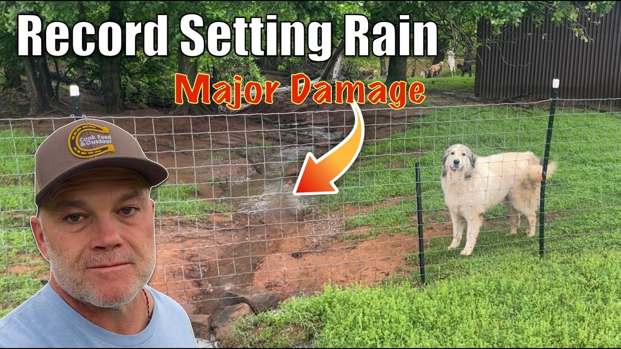Farm Update: Record Rain Fall, Major Farm Damage, Megatron Is No More. Let’s Get Caught Up.