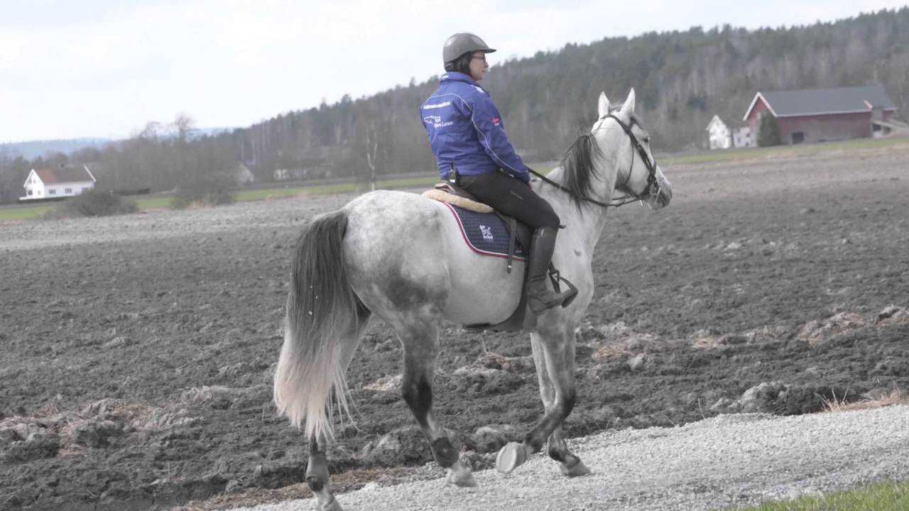 Trav er følelser! Møt S.J's Victoria, Bjørn og Cecilie.