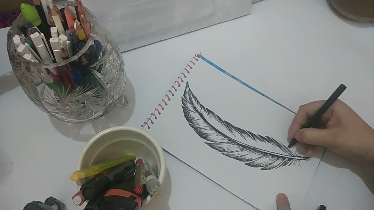Feather sketching with black pointer