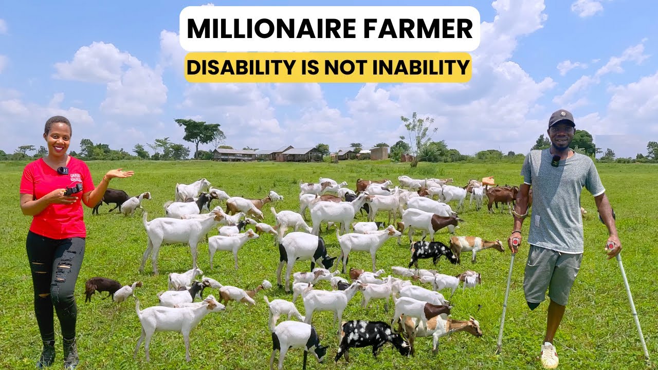 How to make Millions from Goat Farming Business in Uganda ft Mzee Chicks 8-Acre Farm