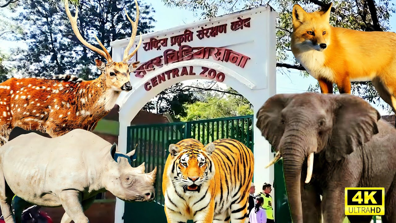 नेपालको चिडियाखाना 🐅 | Central Zoo NEPAL Tour | बच्चाहरूसँग रमाइलो घुमाइ | जनावर र डुङ्गा यात्रा