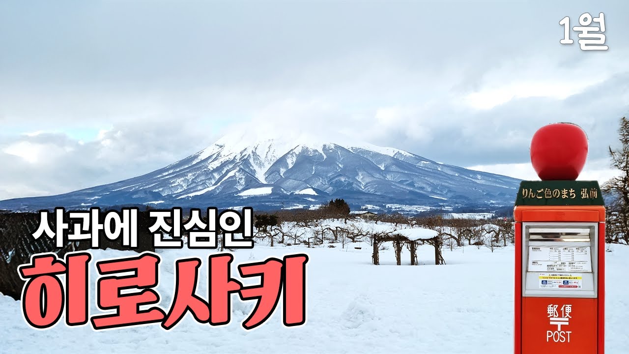 사과에 진심인 히로사키 [아오모리 5] 애플파크 | 히로사키 야경 건물 투어 |오코노미야키 🇯🇵
