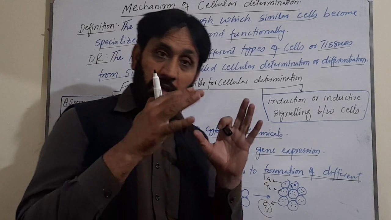TOPIC# MECHANISM OF CELLULAR DETERMINATION