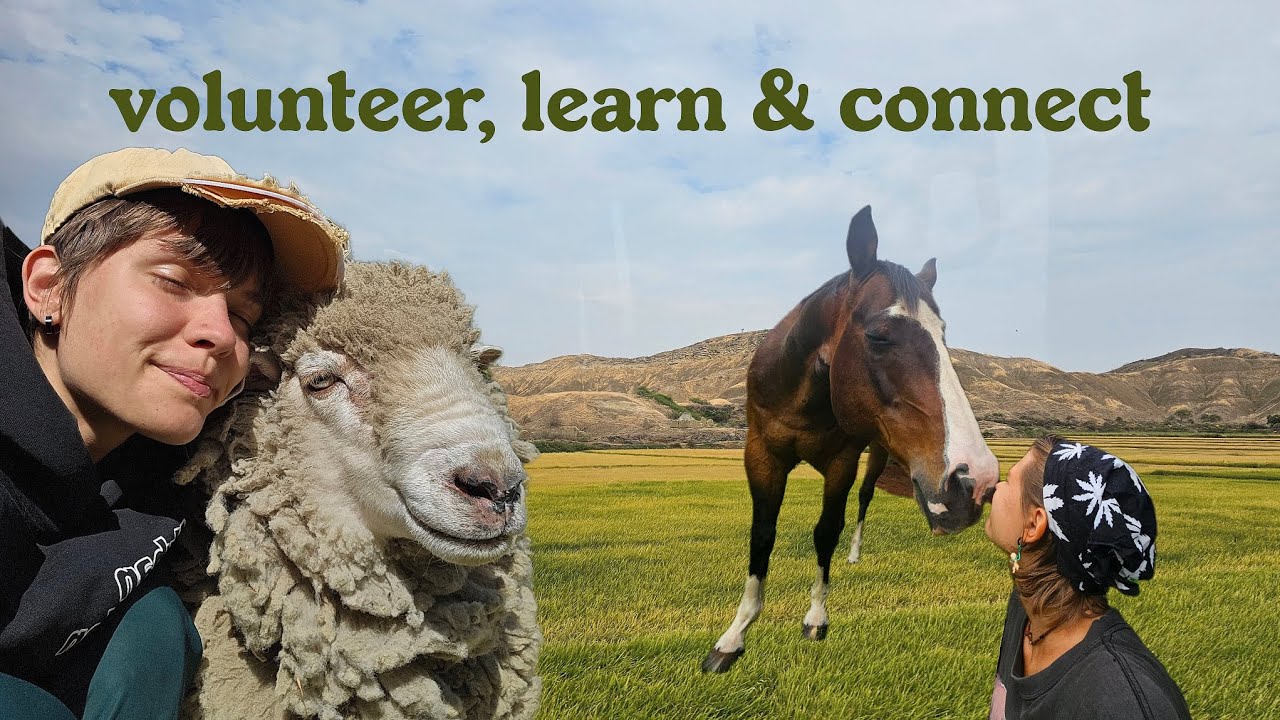 travel for cheap with wwoof/worldpackers: tips, Peru&Hawai'i experience