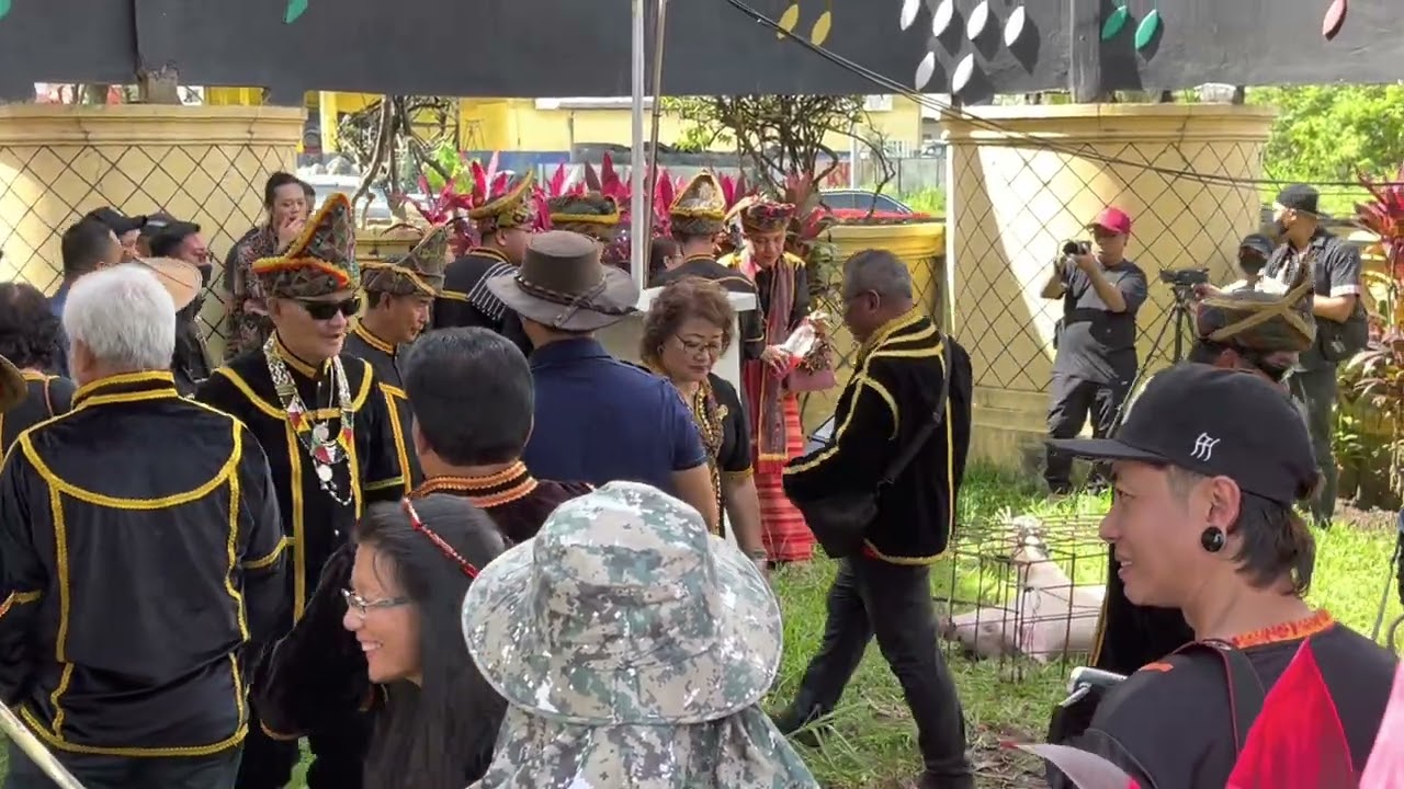 Kadazan Dusun Ritual Mongimpi / Mamason ritual performed at Bulatan Siga 11/2/23