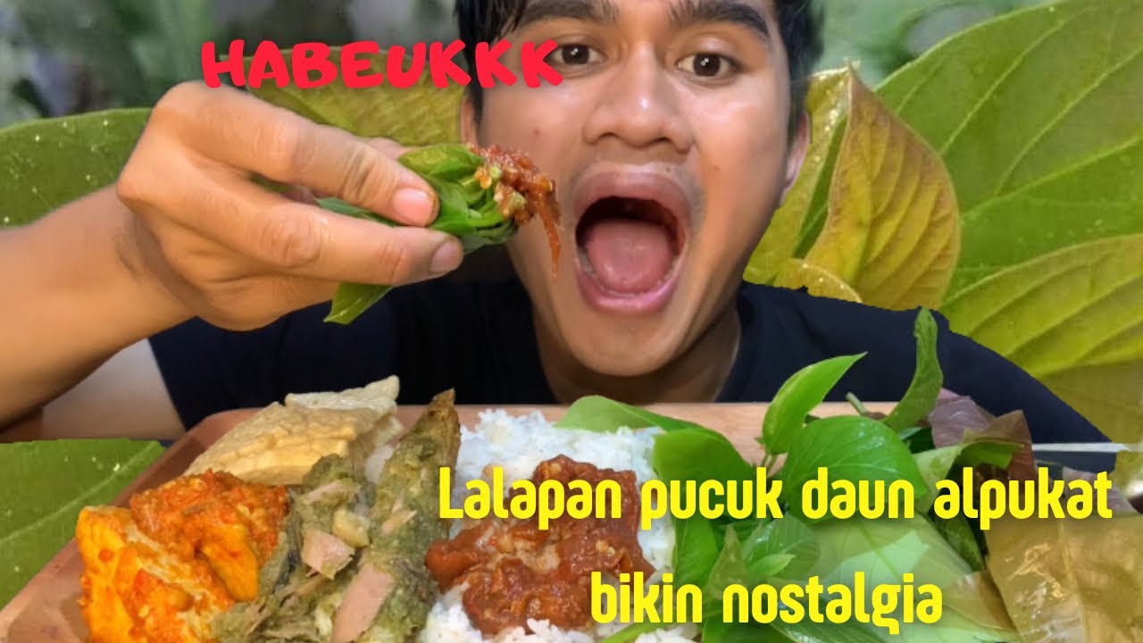 BIKIN NOSTALGIA || HABEUKKK LALAPAN PUCUK DAUN ALPUKAT COEL SAMBAL TERASI