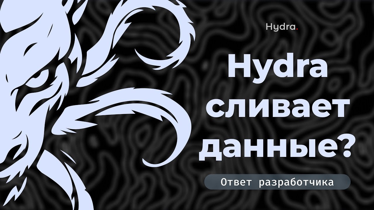 Hydra Launcher сливает ваши данные? Ответ от разработчика Hydra!