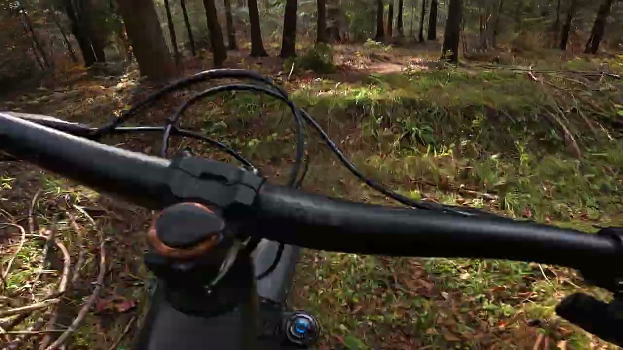 Wiewiór full Luboń Wielki