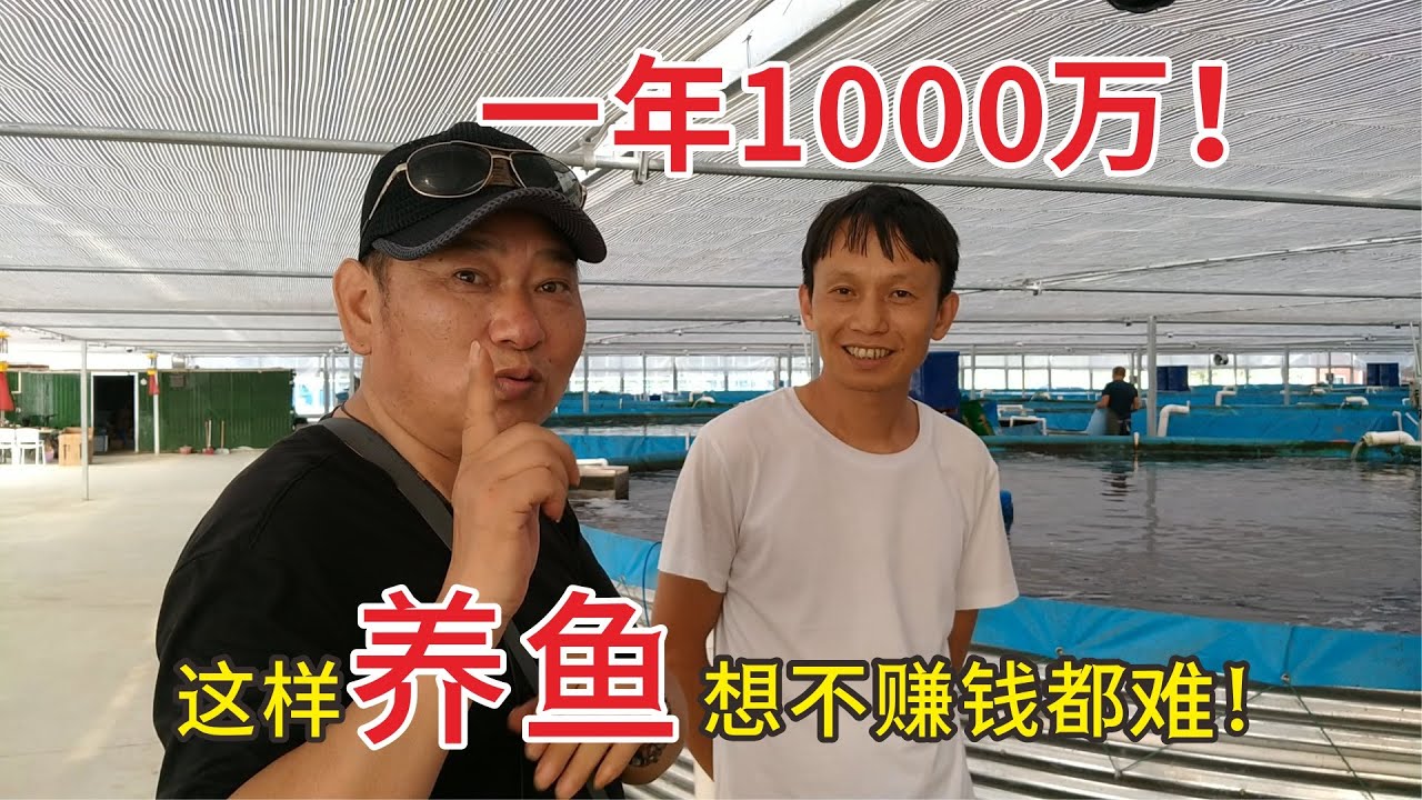 加州鲈鱼养殖 |  高密度养鱼，4人管理，1年纯利润1000万！你信吗？