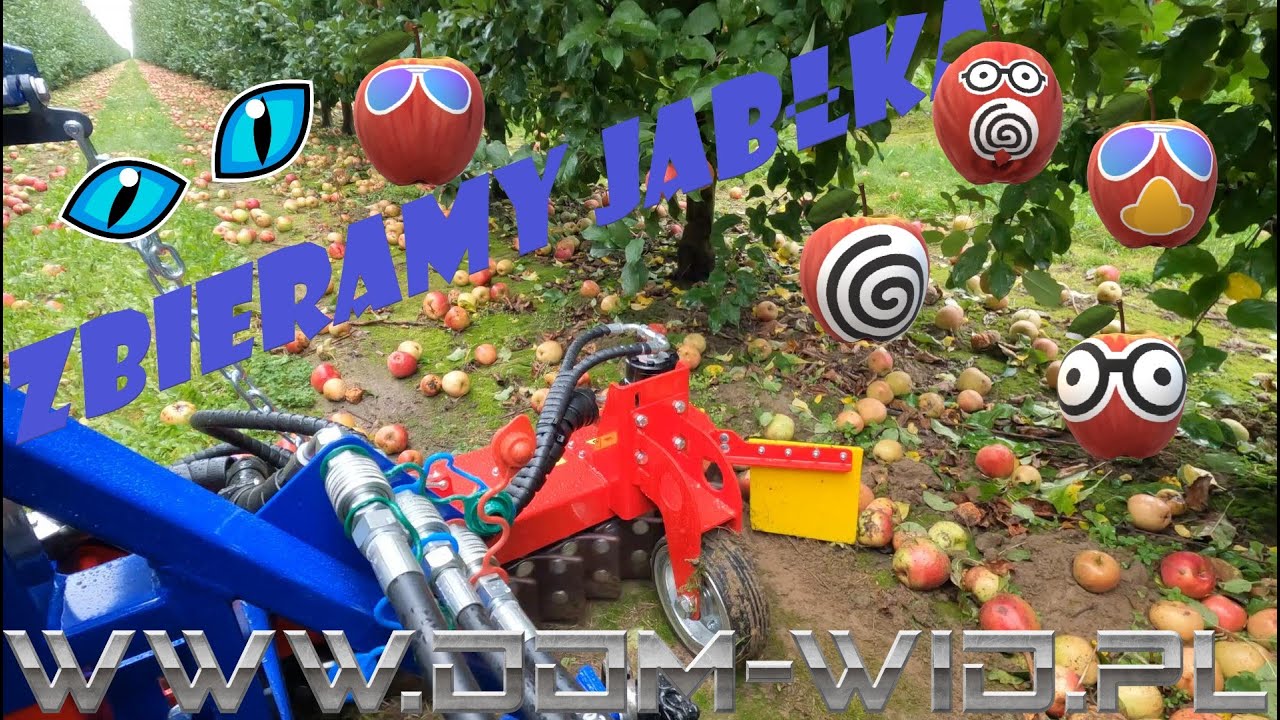 Kombajn do Jabłek Spartan / Nowy Wylezin / Dom-Wid zbi&oacute;r Jabłek Apple  harvester