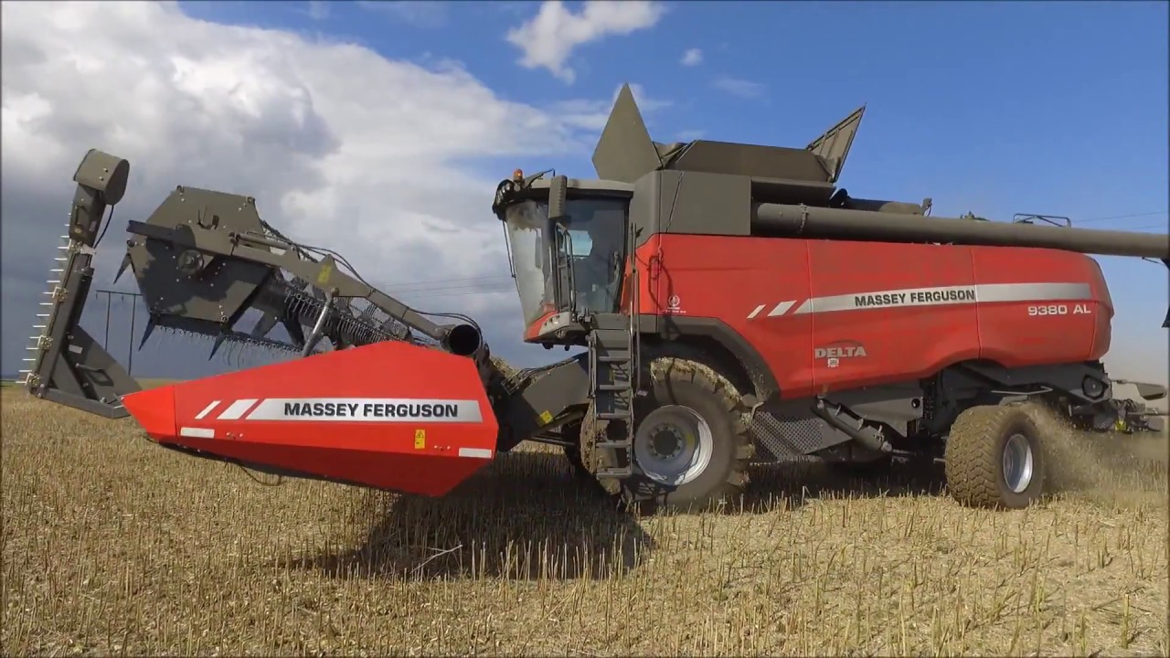 MF9380 Delta Combine, A I Walgate, Lincolnshire - Peacock & Binnington