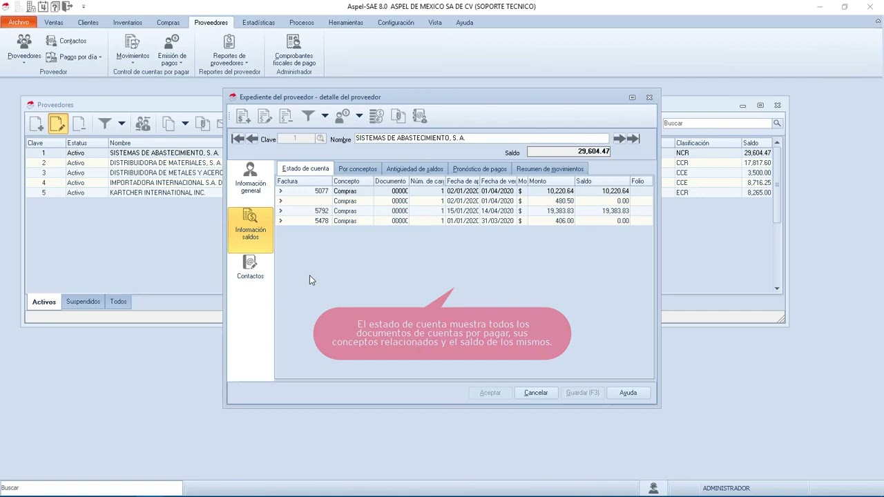 Aspel SAE 8, Ventana de informaci&oacute;n de saldos