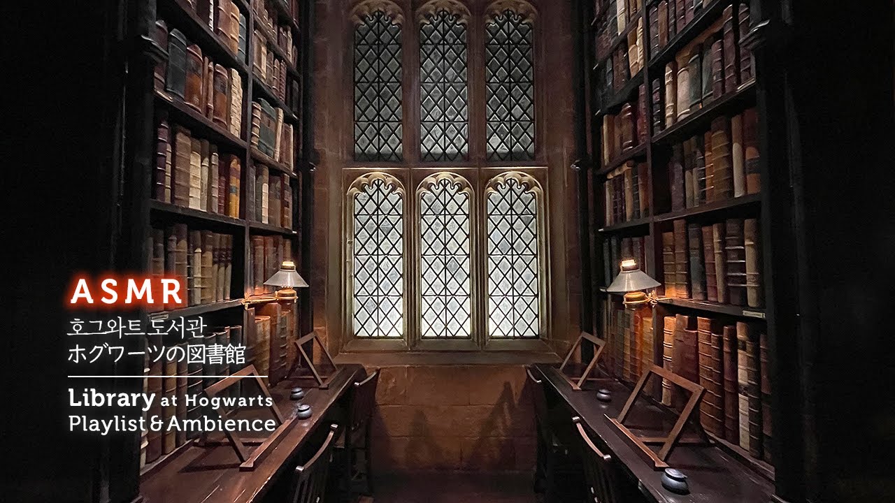 호그와트 도서관에서 공부하기🖋️ Hogwarts Library Ambience 해리포터