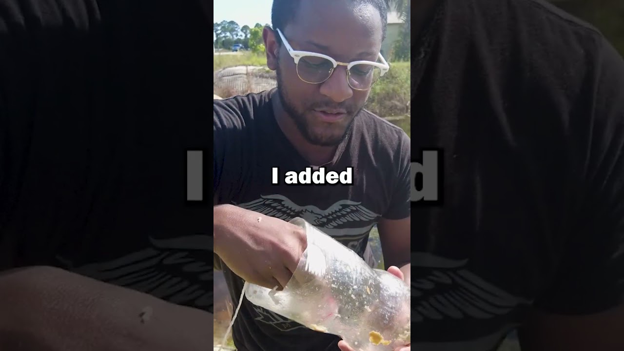 Coke bottle fish trap!