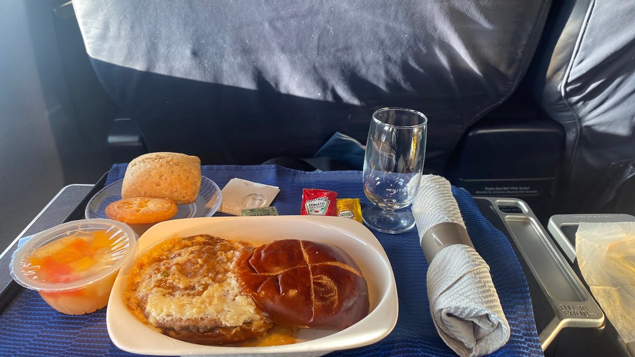 TRIP REPORT |United Airlines  (first class) | Santo Domingo To Newark |B 737-900