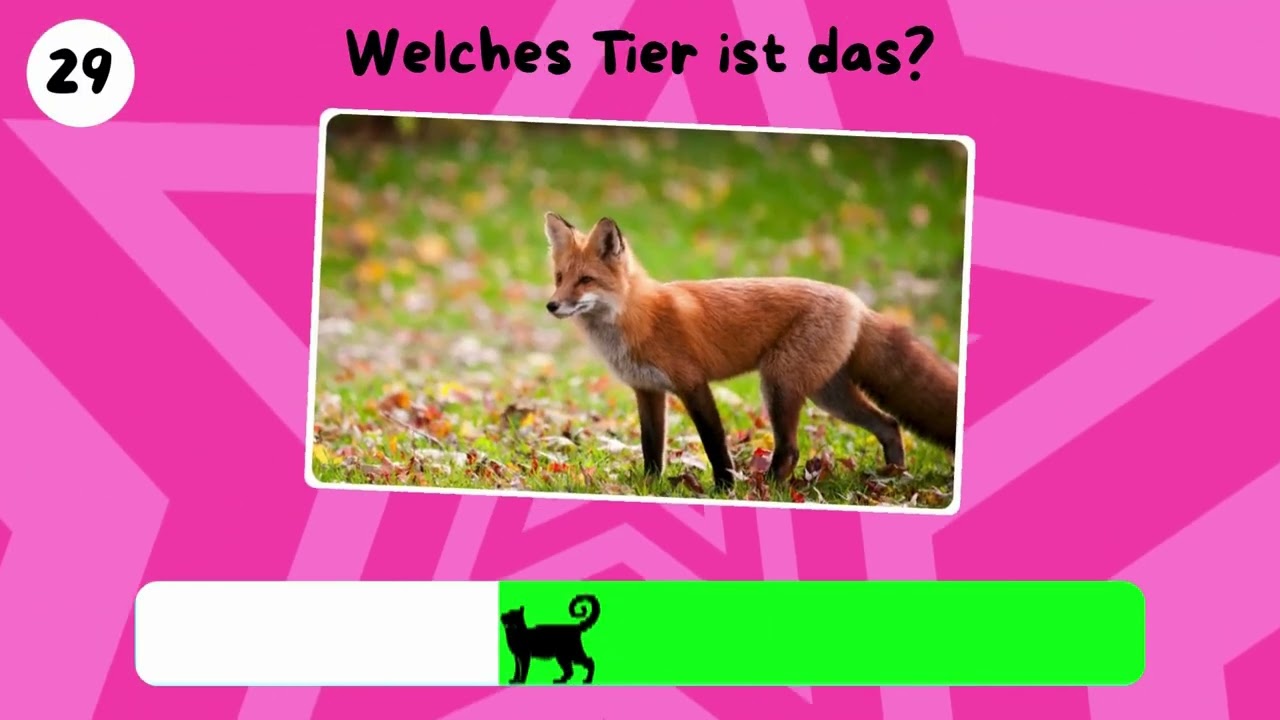 50 Tiere erraten auf Deutsch | Tier Quiz | Welches Tier ist das